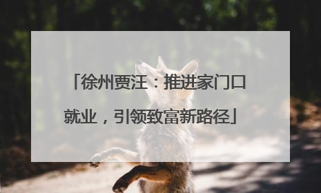 徐州贾汪：推进家门口就业，引领致富新路径
