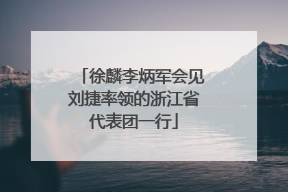 徐麟李炳军会见刘捷率领的浙江省代表团一行