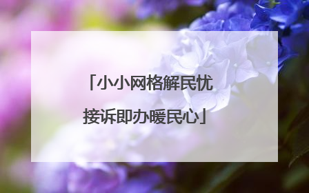 小小网格解民忧 接诉即办暖民心