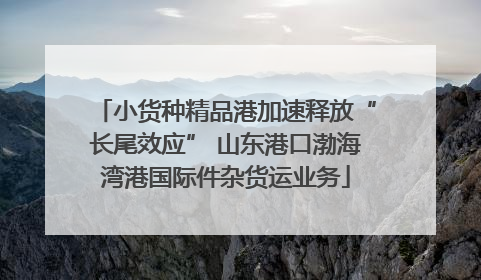 小货种精品港加速释放“长尾效应” 山东港口渤海湾港国际件杂货运业务