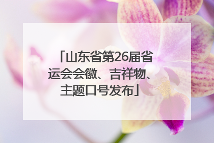 山东省第26届省运会会徽、吉祥物、主题口号发布