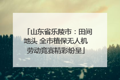 山东省乐陵市：田间地头 全市植保无人机劳动竞赛精彩纷呈