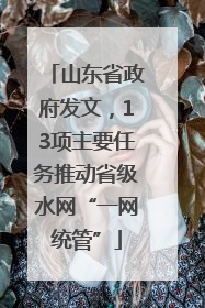 山东省政府发文，13项主要任务推动省级水网“一网统管”