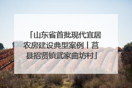 山东省首批现代宜居农房建设典型案例丨莒县招贤镇武家曲坊村