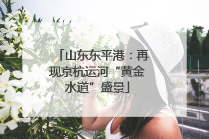 山东东平港：再现京杭运河“黄金水道”盛景