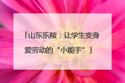 山东乐陵：让学生变身爱劳动的“小能手”
