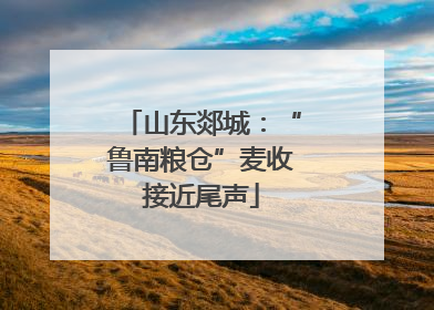 山东郯城：“鲁南粮仓”麦收接近尾声