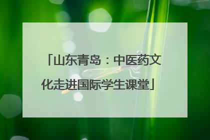 山东青岛：中医药文化走进国际学生课堂
