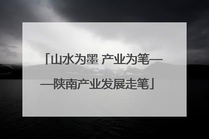 山水为墨 产业为笔——陕南产业发展走笔