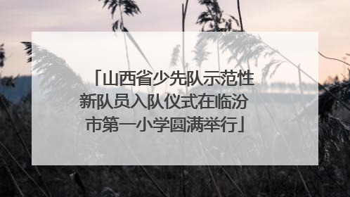 山西省少先队示范性新队员入队仪式在临汾市第一小学圆满举行