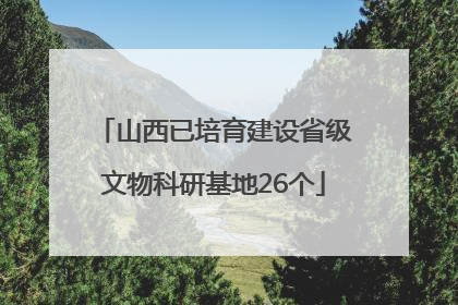 山西已培育建设省级文物科研基地26个