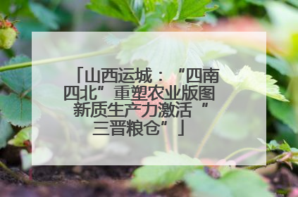 山西运城：“四南四北”重塑农业版图 新质生产力激活“三晋粮仓”