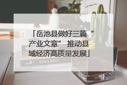 岳池县做好三篇“产业文章” 推动县域经济高质量发展