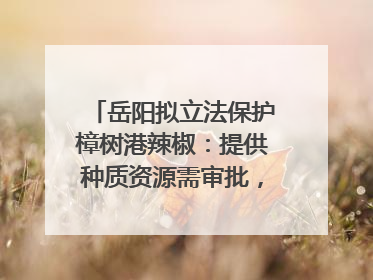 岳阳拟立法保护樟树港辣椒：提供种质资源需审批，违规最高罚5万