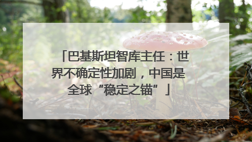 巴基斯坦智库主任：世界不确定性加剧，中国是全球“稳定之锚”