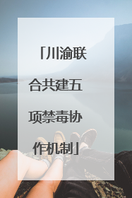 川渝联合共建五项禁毒协作机制