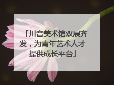 川音美术馆双展齐发，为青年艺术人才提供成长平台