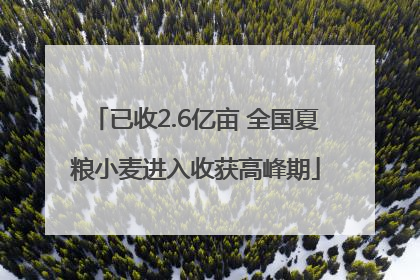 已收2.6亿亩 全国夏粮小麦进入收获高峰期