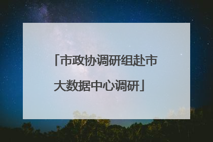市政协调研组赴市大数据中心调研