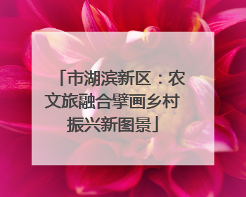 市湖滨新区：农文旅融合擘画乡村振兴新图景
