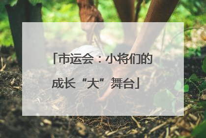 市运会：小将们的成长“大”舞台