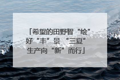 希望的田野智“绘”好“丰”景 “三夏”生产向“新”而行