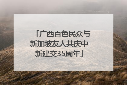 广西百色民众与新加坡友人共庆中新建交35周年