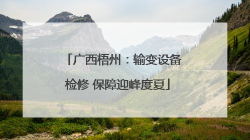 广西梧州：输变设备检修 保障迎峰度夏