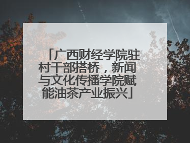 广西财经学院驻村干部搭桥，新闻与文化传播学院赋能油茶产业振兴