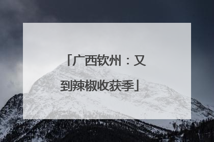 广西钦州：又到辣椒收获季