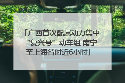 广西首次配属动力集中“复兴号”动车组 南宁至上海省时近6小时