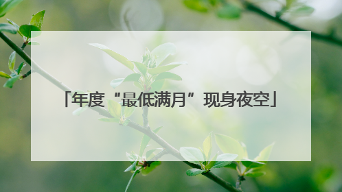 年度“最低满月”现身夜空