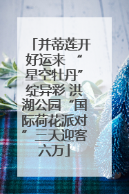 并蒂莲开好运来 “星空牡丹”绽异彩 洪湖公园“国际荷花派对”三天迎客六万