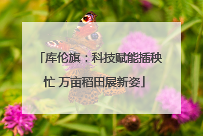 库伦旗：科技赋能插秧忙 万亩稻田展新姿