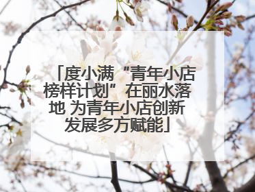 度小满“青年小店榜样计划”在丽水落地 为青年小店创新发展多方赋能