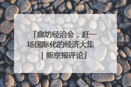 廊坊经洽会，赶一场国际化的经济大集｜新京报评论