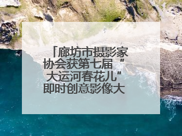 廊坊市摄影家协会获第七届“大运河春花儿”即时创意影像大赛优秀组织奖