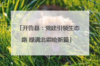开鲁县：党建引领生态路 绿满北疆绘新篇