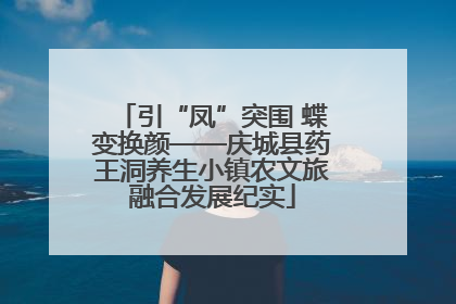 引“凤”突围 蝶变换颜——庆城县药王洞养生小镇农文旅融合发展纪实