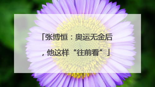 张博恒：奥运无金后，他这样“往前看”