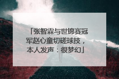 张智霖与世锦赛冠军赵心童切磋球技，本人发声：很梦幻