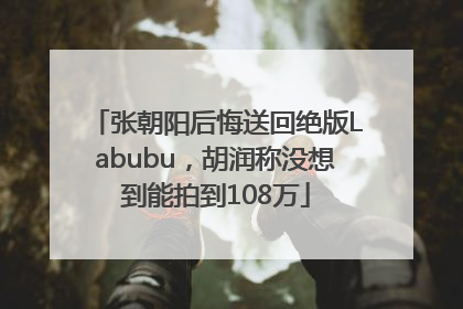 张朝阳后悔送回绝版Labubu，胡润称没想到能拍到108万