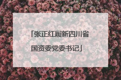 张正红履新四川省国资委党委书记