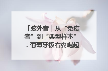 弦外音｜从“免疫者”到“典型样本”：葡萄牙极右翼崛起背后的欧洲困局
