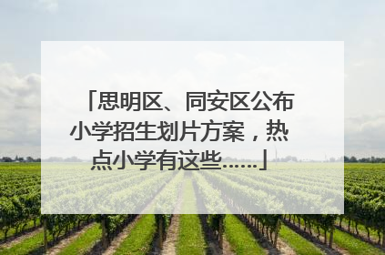 思明区、同安区公布小学招生划片方案，热点小学有这些……
