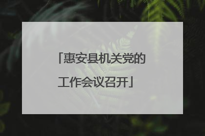 惠安县机关党的工作会议召开