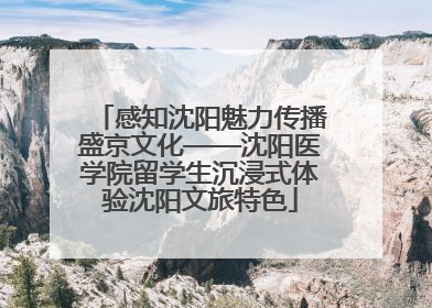 感知沈阳魅力传播盛京文化——沈阳医学院留学生沉浸式体验沈阳文旅特色