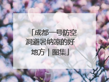 成都一号防空洞避暑纳凉的好地方｜图集