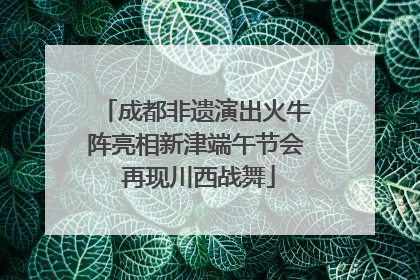 成都非遗演出火牛阵亮相新津端午节会 再现川西战舞