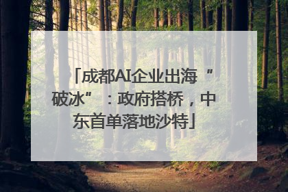 成都AI企业出海“破冰”：政府搭桥，中东首单落地沙特